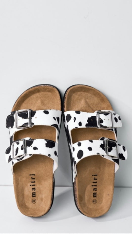 Sandalia cow
